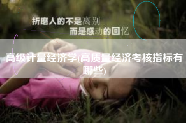 高级计量经济学(高质量经济考核指标有哪些)