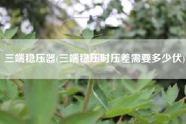三端稳压器(三端稳压时压差需要多少伏)