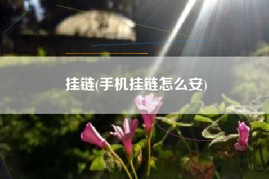 挂链(手机挂链怎么安)