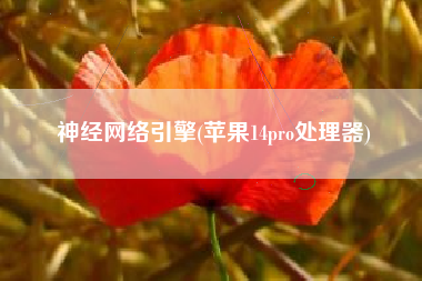 神经网络引擎(苹果14pro处理器)