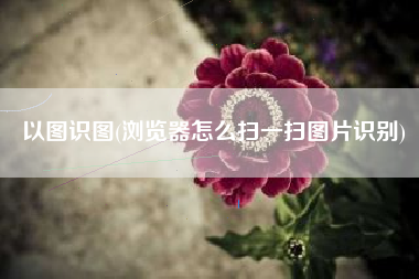 以图识图(浏览器怎么扫一扫图片识别)