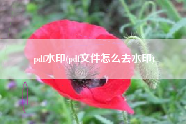 pdf水印(pdf文件怎么去水印)