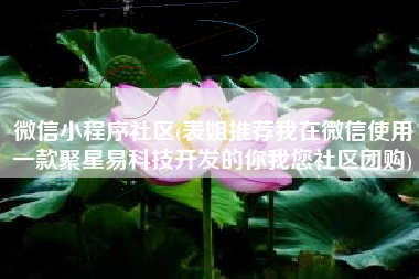 微信小程序社区(表姐推荐我在微信使用一款聚星易科技开发的你我您社区团购)