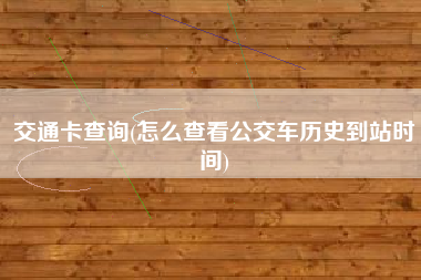 交通卡查询(怎么查看公交车历史到站时间)