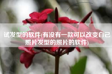 试发型的软件(有没有一款可以改变自己照片发型的照片的软件)