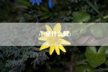 ck(是什么鞋)
