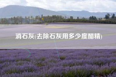 消石灰(去除石灰用多少度醋精)