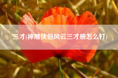 三才(神雕侠侣风云三才册怎么打)