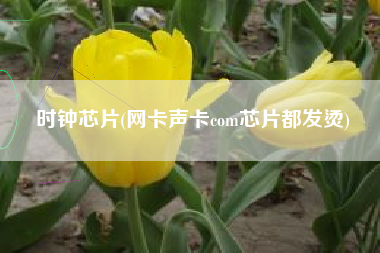 时钟芯片(网卡声卡com芯片都发烫)