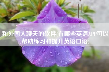 和外国人聊天的软件(有哪些英语APP可以帮助练习和提升英语口语)