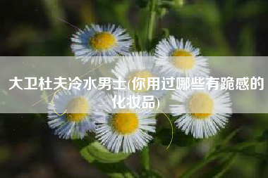 大卫杜夫冷水男士(你用过哪些有跪感的化妆品)