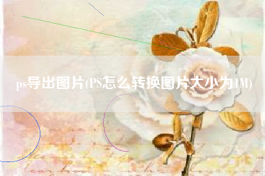 ps导出图片(PS怎么转换图片大小为1M)