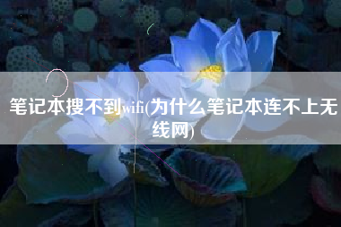 笔记本搜不到wifi(为什么笔记本连不上无线网)