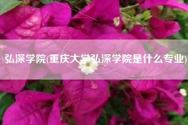弘深学院(重庆大学弘深学院是什么专业)