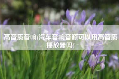 高音质音响(汽车音响音源可以用高音质播放器吗)