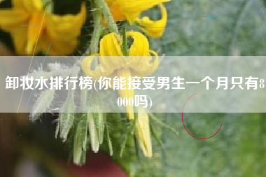 卸妆水排行榜(你能接受男生一个月只有8000吗)