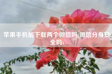 苹果手机能下载两个微信吗(微信分身安全吗)