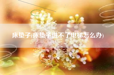 床垫子(床垫子进不了电梯怎么办)