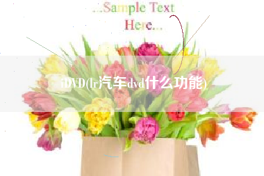 iDVD(lr汽车dvd什么功能)