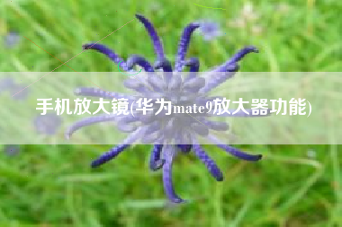 手机放大镜(华为mate9放大器功能)