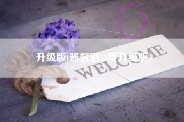 升级版(酱督酒53度升级版)