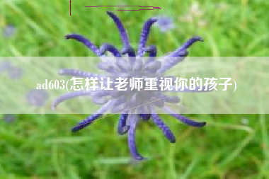 详细阅读:ad603(怎样让老师重视你的孩子) ad603(怎样让老师重视你的孩子)