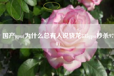 国产gpu(为什么总有人说骁龙835gpu秒杀970)
