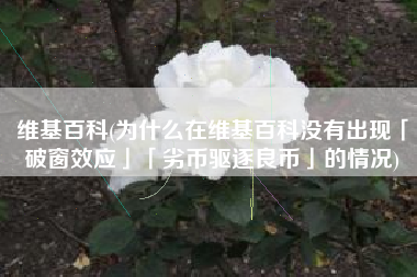 维基百科(为什么在维基百科没有出现「破窗效应」「劣币驱逐良币」的情况)