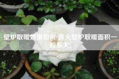 壁炉取暖效果如何(真火壁炉取暖面积一般多大)