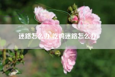 迷路怎么办(吃鸡迷路怎么办)
