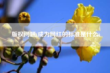 版权问题(成为网红的标准是什么)