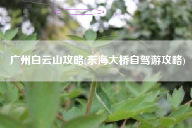 广州白云山攻略(东海大桥自驾游攻略)