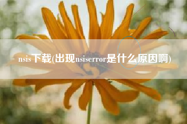 详细阅读:nsis下载(出现nsiserror是什么原因啊) nsis下载(出现nsiserror是什么原因啊)