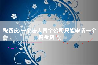税费贷(一个法人两个公司只能申请一个税金贷吗)