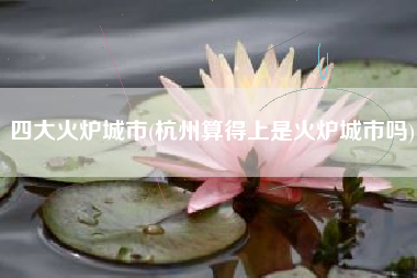 四大火炉城市(杭州算得上是火炉城市吗)