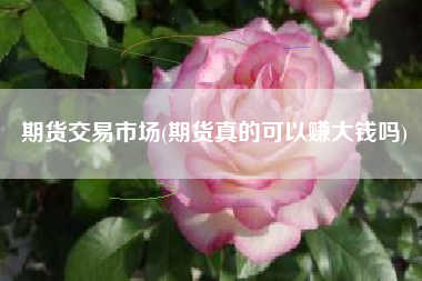 期货交易市场(期货真的可以赚大钱吗)