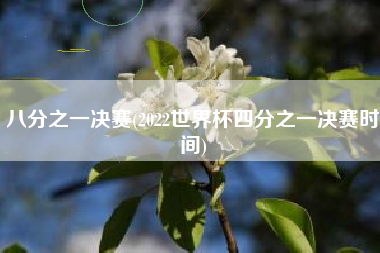 详细阅读:八分之一决赛(2022世界杯四分之一决赛时间) 八分之一决赛(2022世界杯四分之一决赛时间)