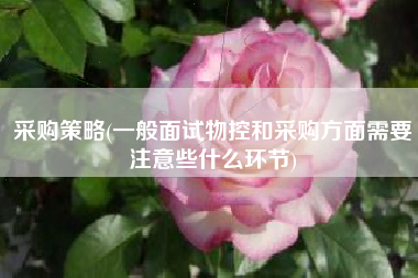 采购策略(一般面试物控和采购方面需要注意些什么环节)