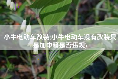 小牛电动车改装(小牛电动车没有改装只是加中箱是否违规)