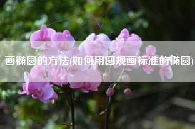画椭圆的方法(如何用圆规画标准的椭圆)