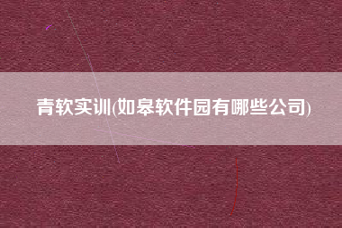 青软实训(如皋软件园有哪些公司)