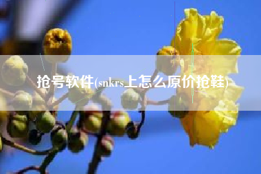 抢号软件(snkrs上怎么原价抢鞋)