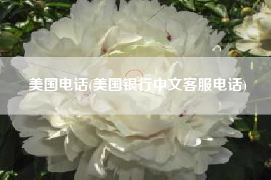 美国电话(美国银行中文客服电话)