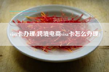 visa卡办理(跨境电商visa卡怎么办理)