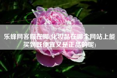 乐蜂网客服在哪(化妆品在哪个网站上能买到既便宜又是正品的呢)