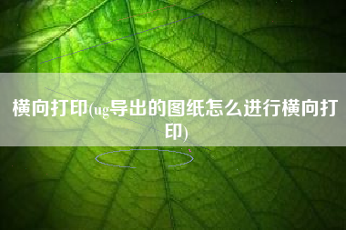 横向打印(ug导出的图纸怎么进行横向打印)