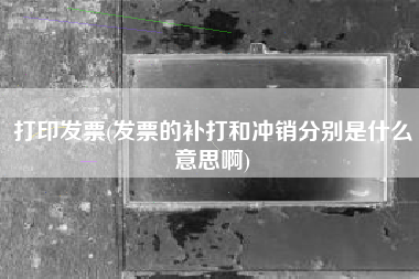 打印发票(发票的补打和冲销分别是什么意思啊)