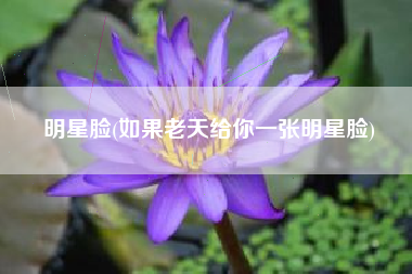 明星脸(如果老天给你一张明星脸)