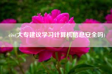 ciw(大专建议学习计算机信息安全吗)