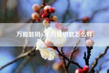 万能匙钥(wiFi万能钥匙怎么样)